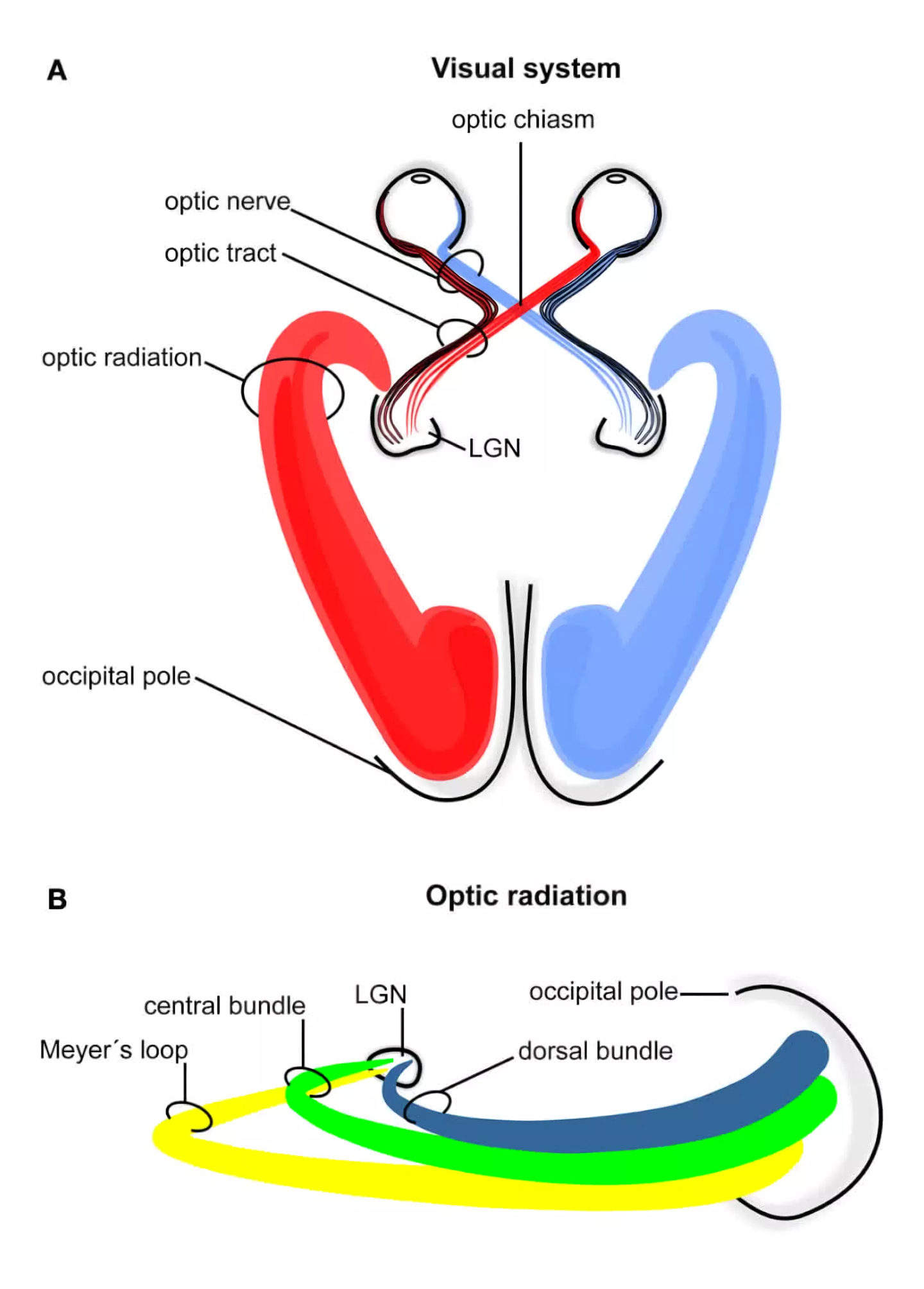 1b17c528-be50-48c2-b83e-e9eb899d60a4.png 1b17c528-be50-48c2-b83e-e9eb899d60a4.png
